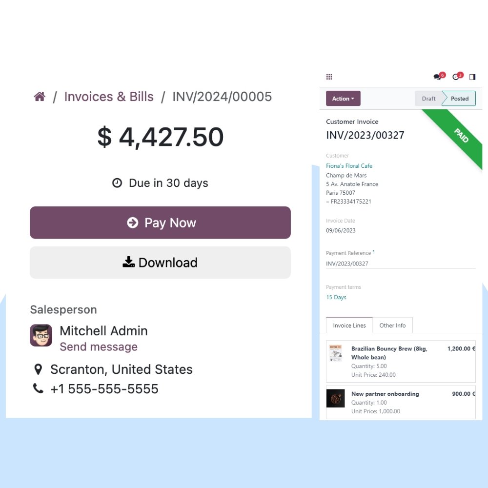 Odoo Invoicing Support
