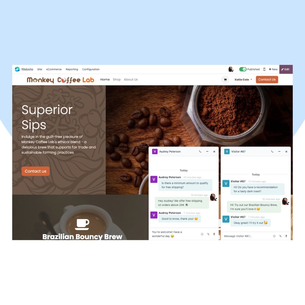 Odoo Live Chat Customization
